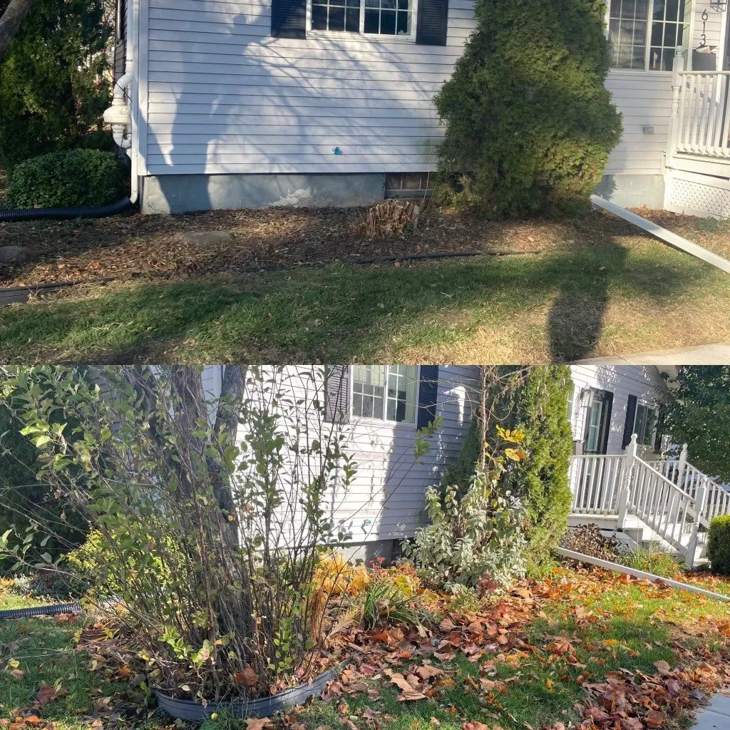 CJT Lawncare's meticulous fall cleanup services in Heyworth and surrounding areas.