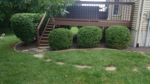 CJT Lawncare provides top-notch hardscaping services in Leroy and surrounding communities.