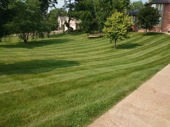 Landscape design and upkeep by CJT Lawncare in Normal and nearby locales.