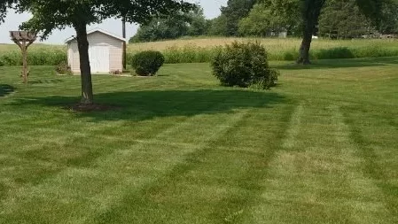 Professional lawn mowing services by CJT Lawncare in Normal and nearby locales