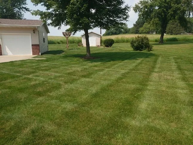 Expert lawn care maintenance by CJT Lawncare in Bloomington and surrounding towns.